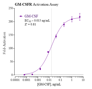 GM-CSFR Reporter Assay System (Human)