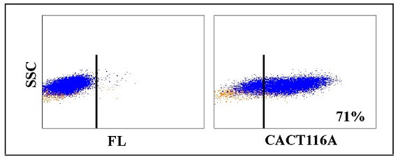 Anti-CD25 (bovine), clone CACT116A