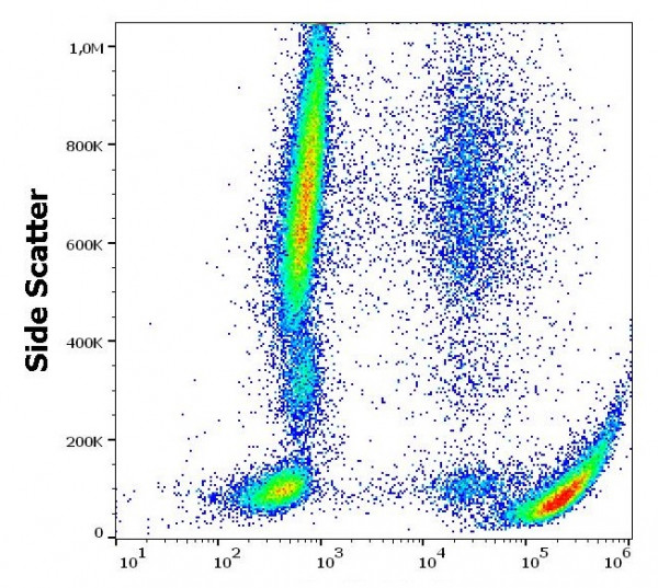 Anti-CD61, clone VIPL2 (FITC)