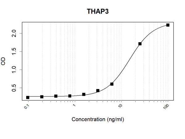 Anti-Human THAP3 Antibody Pair