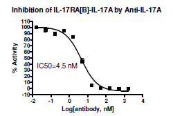 Anti-IL-17A (Neutralizing)