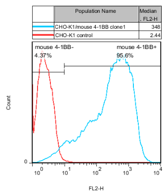 CHO-K1/mouse 4-1BB Stable Cell Line