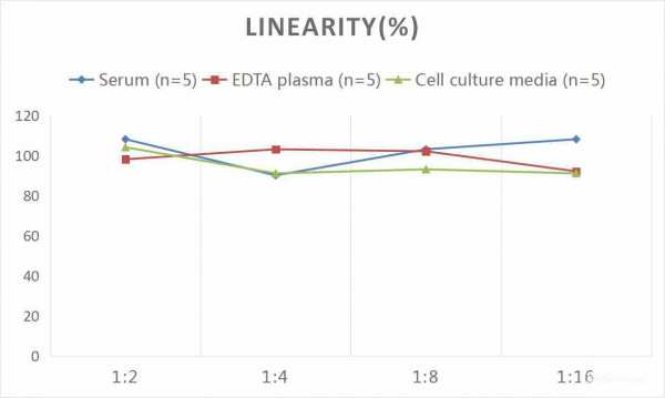 Mouse CGRP1 (Calcitonin Gene Related Peptide 1) CLIA Kit