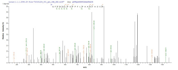 CCAAT/enhancer-binding protein delta (CEBPD), human, recombinant