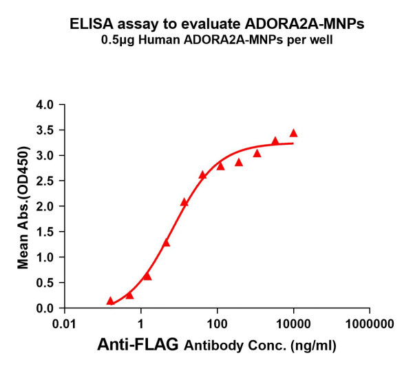 ADORA2A (human) full length protein-MNP