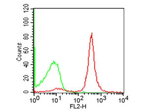 Anti-CD19, clone 1D3, Phycoerythrin conjugated