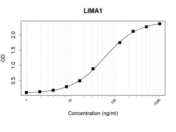 Anti-Human LIMA1 Antibody Pair