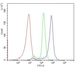 Anti-CD40
