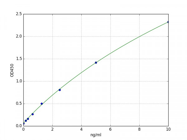 Human PYGL / Glycogen Phosphorylase, Liver ELISA Kit