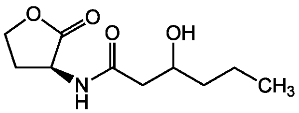 3-Hydroxy-hexanoyl-L-homoserine lactone