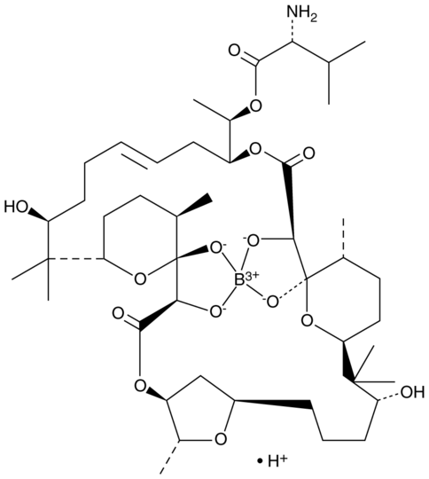 Boromycin