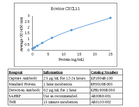 Anti-CXCL11 (bovine)