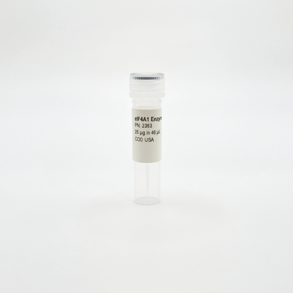 Recombinant eIF4A1 Enzyme, Active, Human