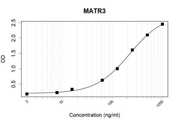 Anti-Human Matrin-3 Antibody Pair