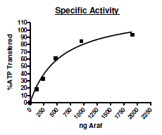 aRAF, active human recombinant protein