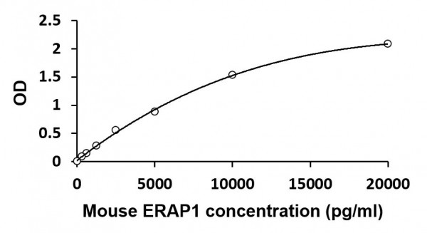 Mouse ERAP1 ELISA Kit