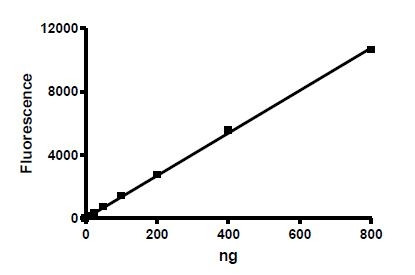 Sirtuin 1, active human recombinant protein