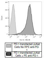 Anti-PD-1 Neutralizing, PE-labeled, Fluosite(TM)