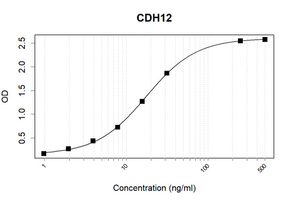 Anti-Human CDH12 Antibody Pair