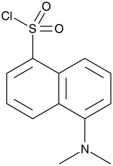 Dansyl Chloride