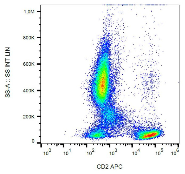 Anti-CD2, clone LT2 (APC)