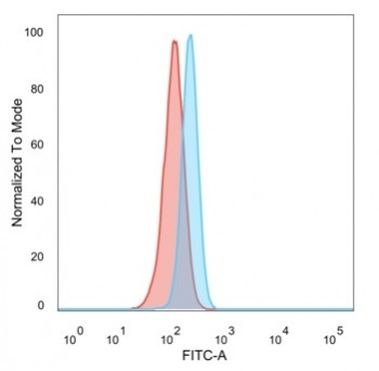 Anti-RBMS2 / SCR3, clone PCRP-RBMS2-1B6