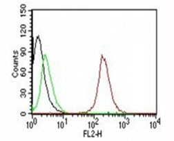 Anti-CD63 / LAMP-3, clone SPM524