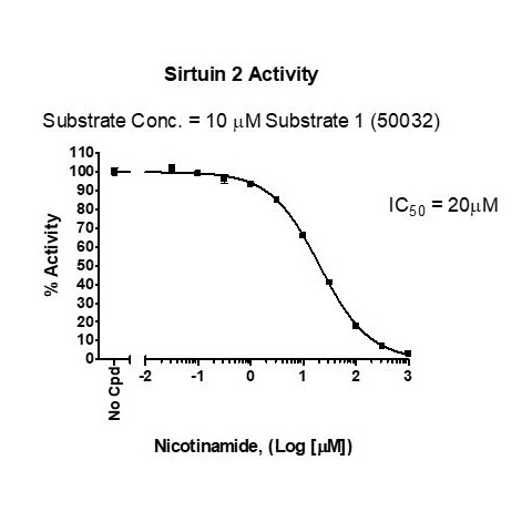 Sirt2 Assay Kit