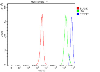 Anti-PSTPIP1 / PEST phosphatase-interacting protein 1