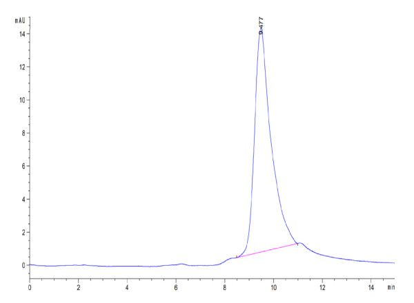 Mouse APCDD1 Protein