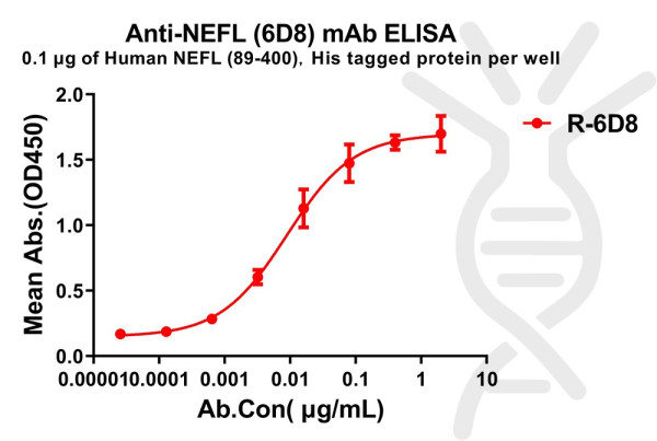 Anti-NEFL(89-400) antibody(6D8), Rabbit mAb