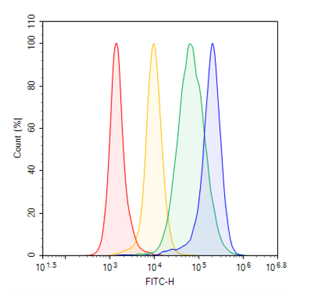 Claudin-6 CHO Cell Line (High Expression)