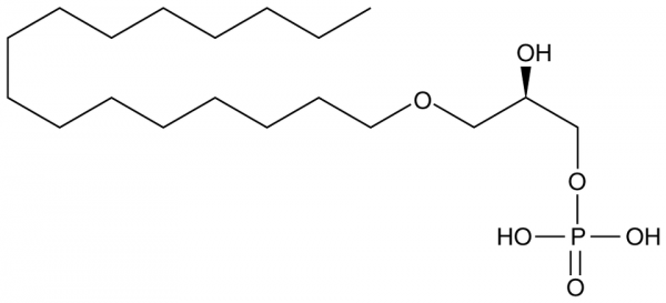 1-Palmityl-2-hydroxy-sn-glycero-3-PA