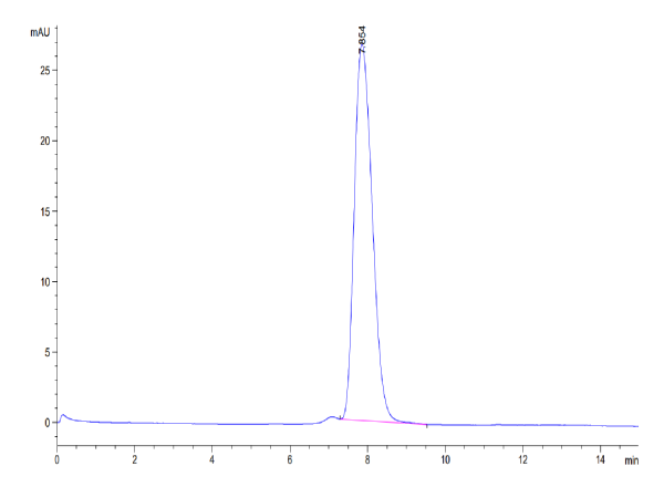 Human CD83 Protein
