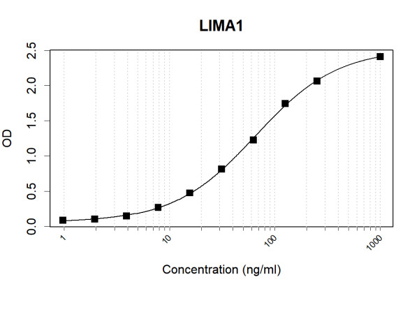 Anti-Human LIMA1 Antibody Pair