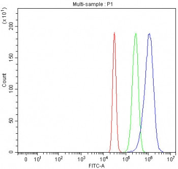 Anti-Integrin alpha 6 / ITGA6