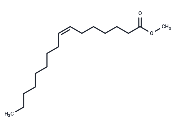 Methyl 7(Z)-hexadecenoate