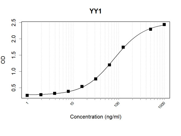 Anti-Human YY1 Antibody Pair
