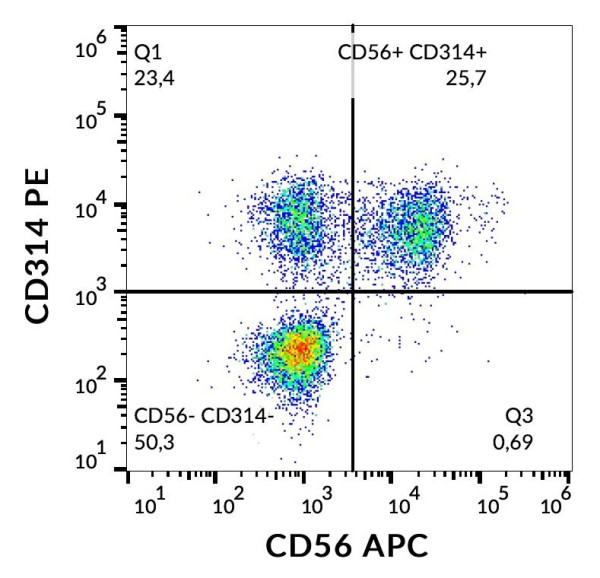 Anti-CD314, clone 1D11 (PE )