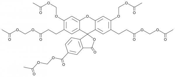 BCECF AM