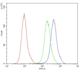 Anti-AQP2 / Aquaporin 2