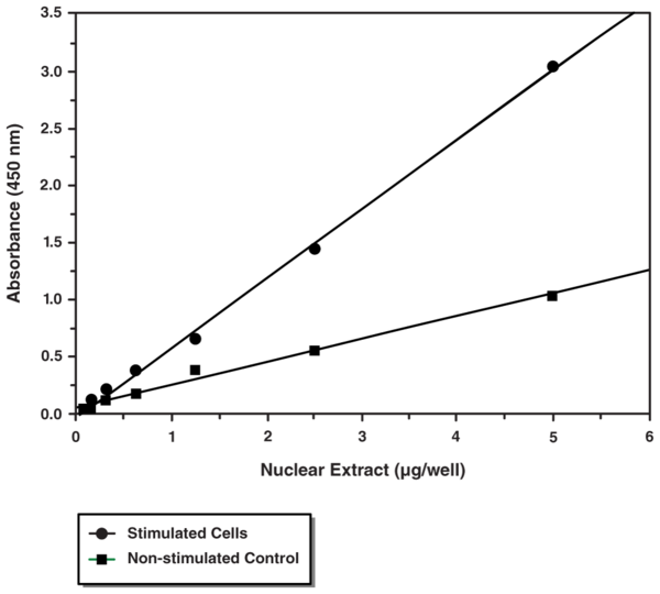 NF-kappaB (p65) Transcription Factor Assay Kit