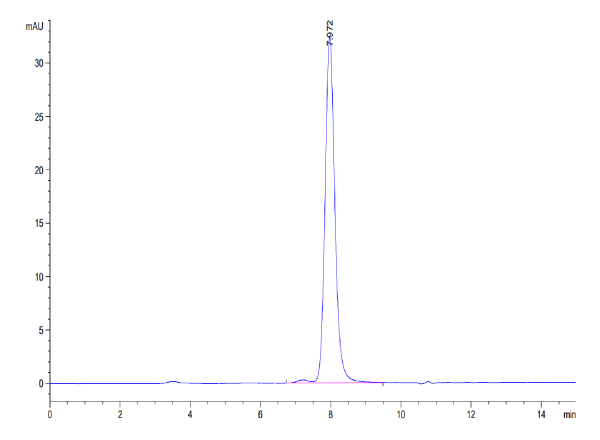 Cynomolgus CD73/NT5E Protein