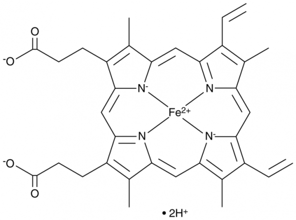 Ferroprotoporphyrin