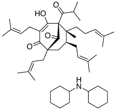 Hyperforin dicyclohexylammonium salt