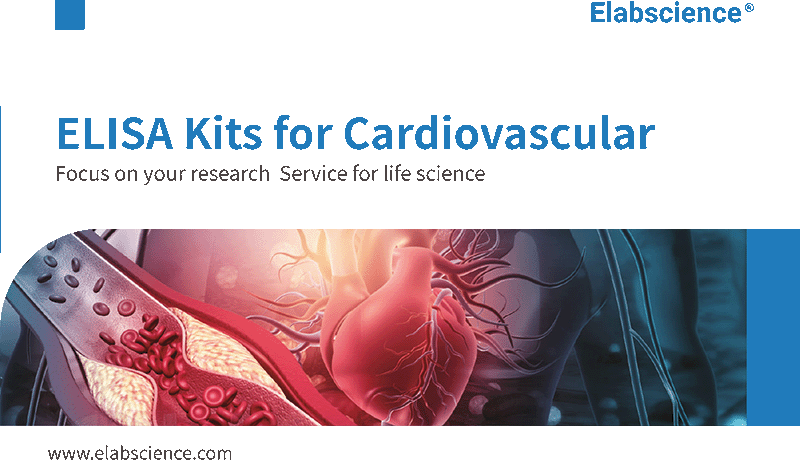 ELISA Kits for Cardiovascular Research