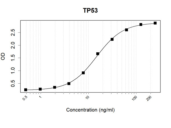 Anti-Human p53 Antibody Pair