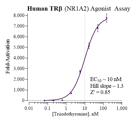 TRbeta (human) Reporter Assay Kit
