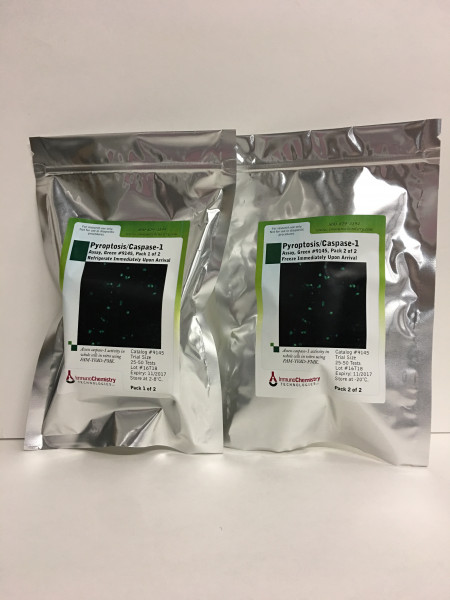 Green Pryoptosis/Caspase 1 Assay Kit