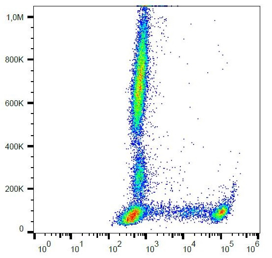 Anti-CD8, clone MEM-31 (FITC)